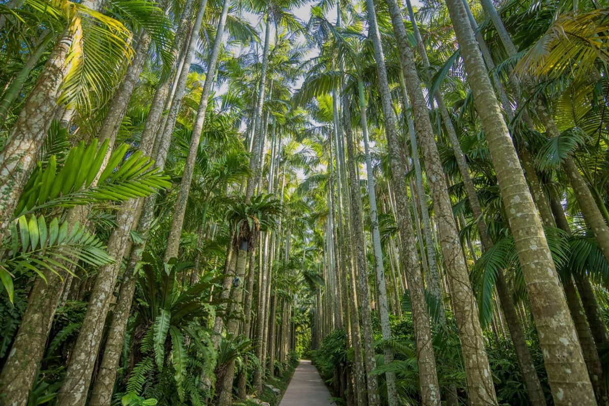Okinawa Southeast Botanical Gardens