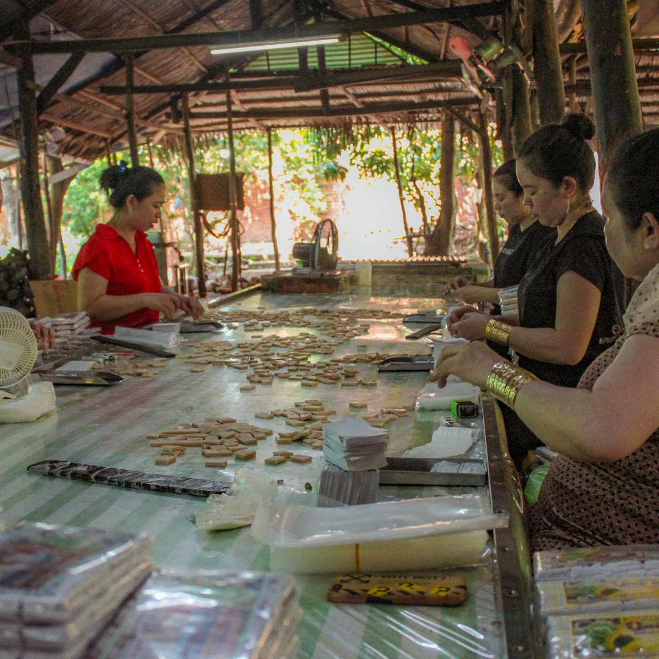 Cu Chi Tunnels and Mekong Delta Full-Day Tour from Ho Chi Minh – photo 21