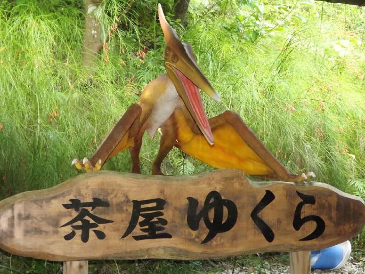 Okinawa Dino Park Yanbaru Subtropical Forest Ticket