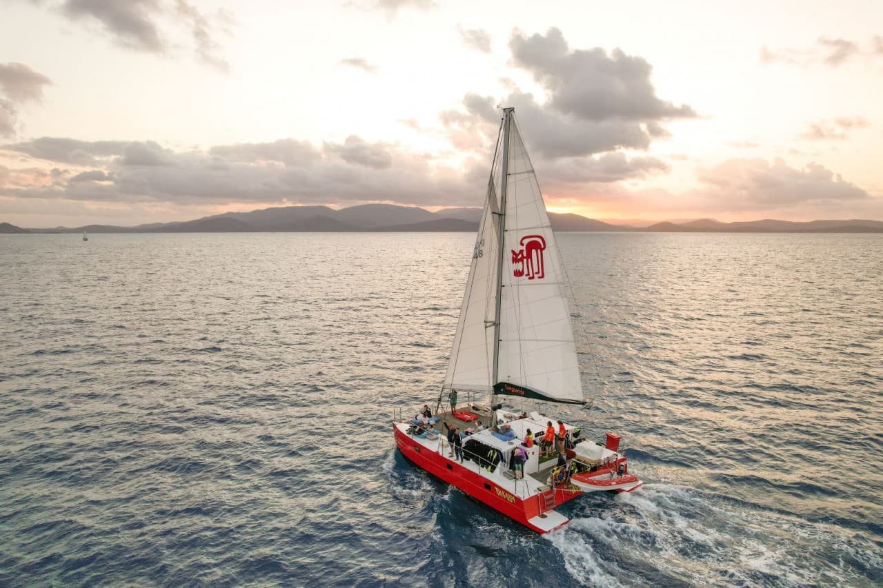 Tongarra Day Sailing Tour – photo 14