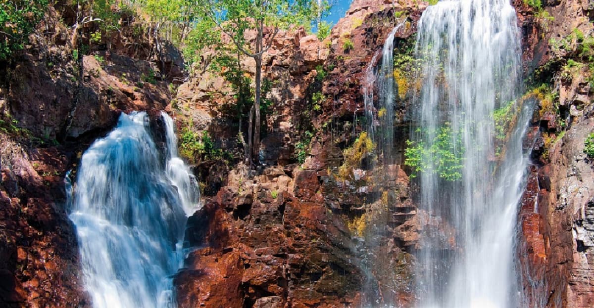 Litchfield National Park and Waterfalls Tour from Darwin