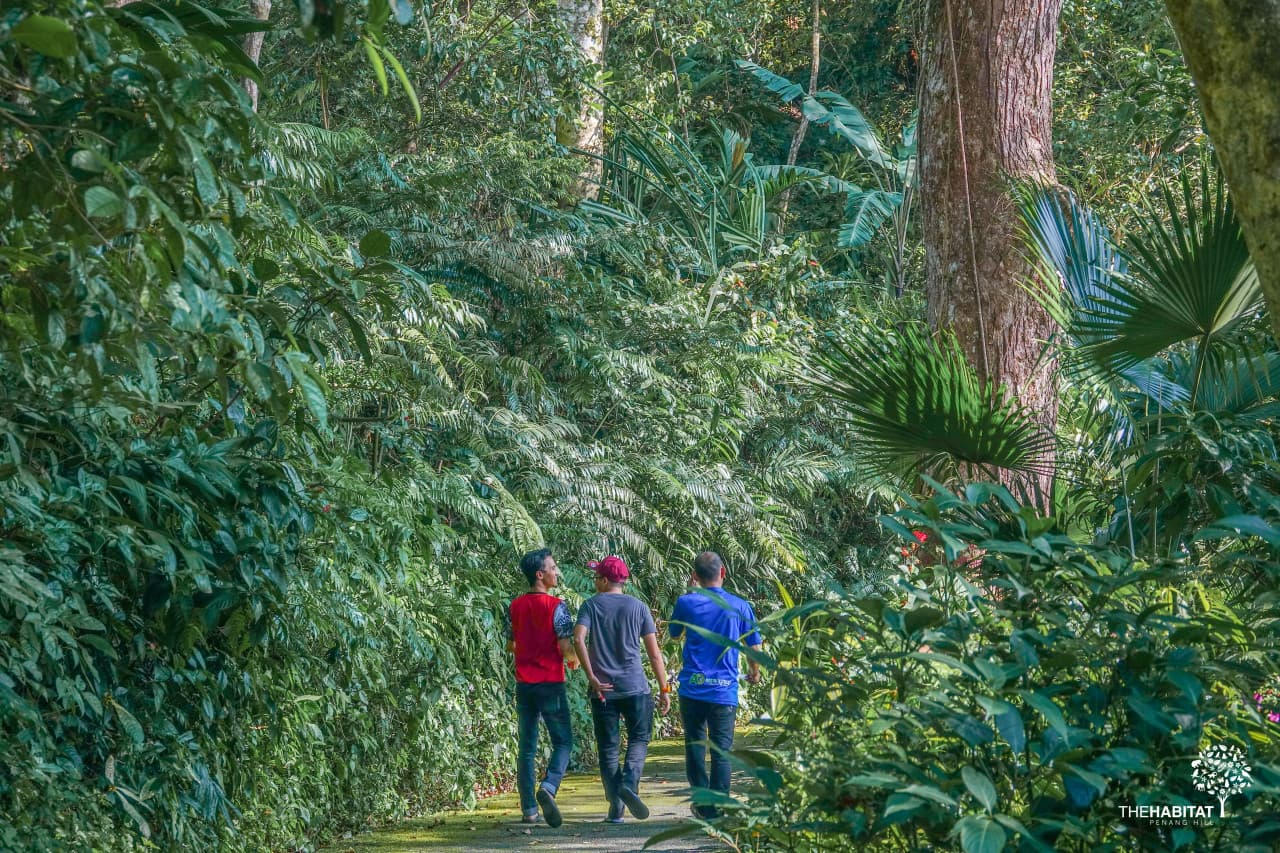The Habitat Penang Hill Ticket – photo 13