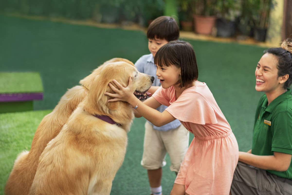 2-Park Destination Pass: Singapore Zoo + Exploria Ticket