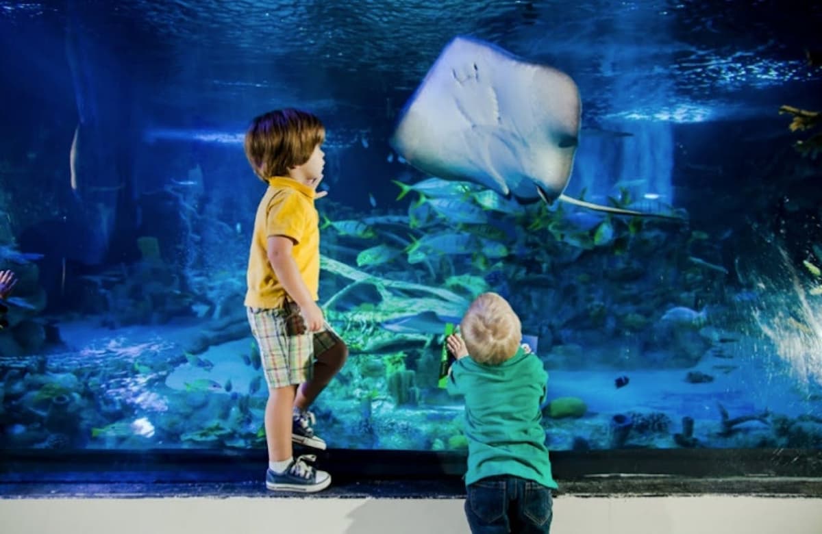 SEA LIFE New Jersey Aquarium Ticket