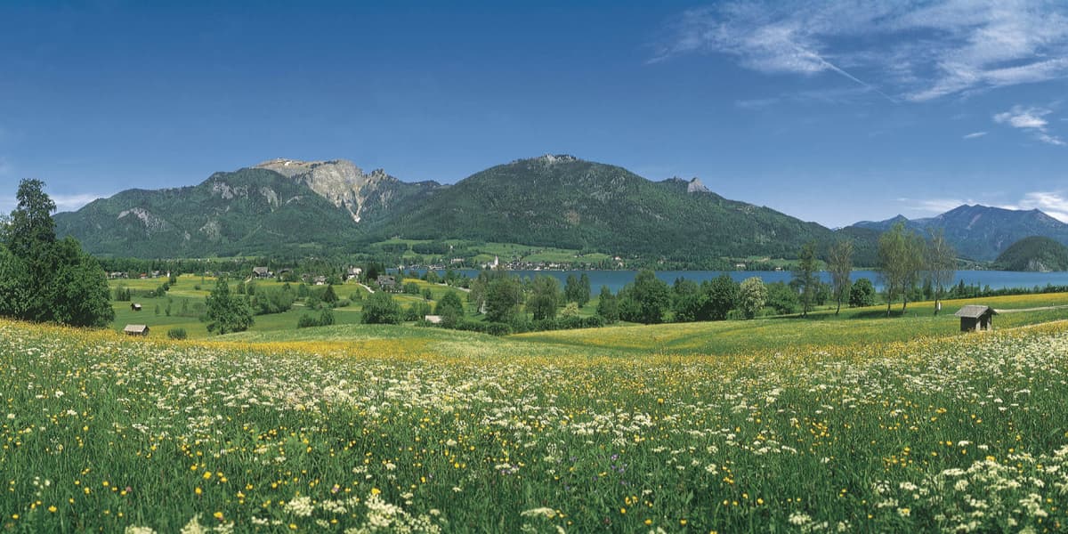 Original Sound of Music Tour