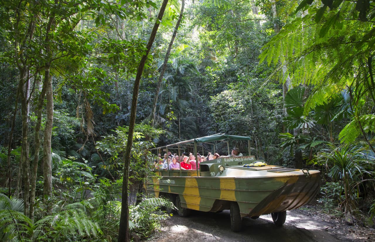 Kuranda Rainforestation Nature Park Full-Day Tour from Cairns – photo 3