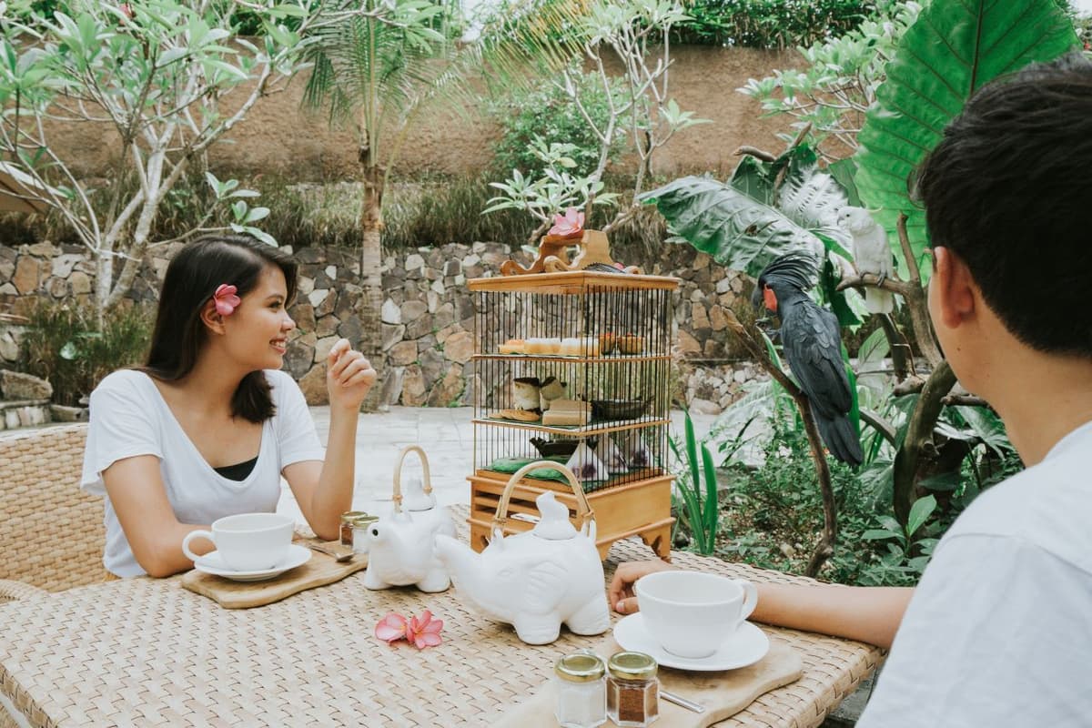 Lombok Wildlife Park Elephant Bath Experience