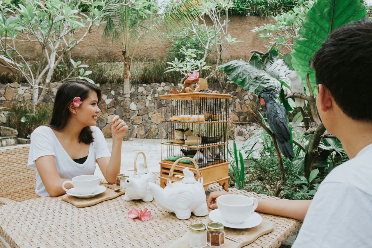Lombok Wildlife Park Elephant Bath Experience