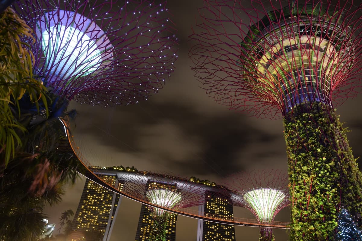 COMBO: Gardens by the Bay + ArtScience Museum Tickets