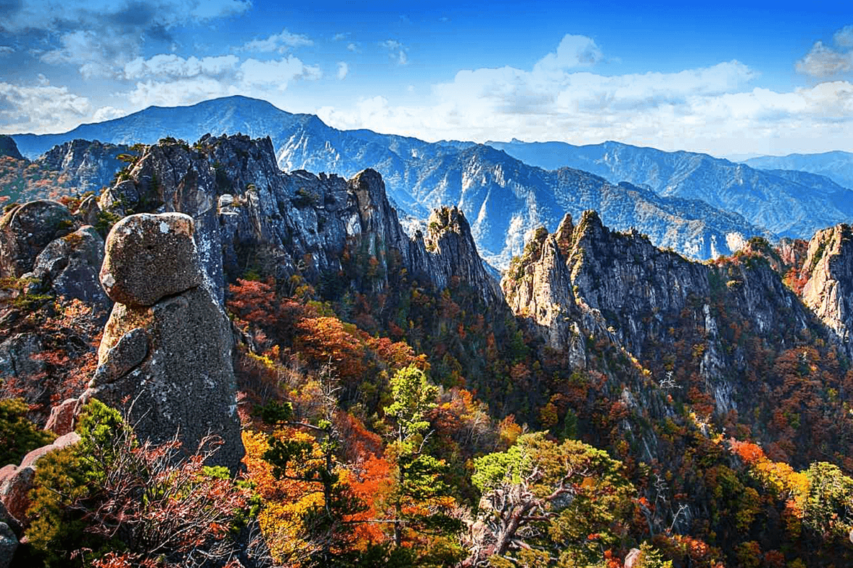 Nami Island, Mount Seorak, and Gapyeong Rail Bike Full-Day Tour from Seoul