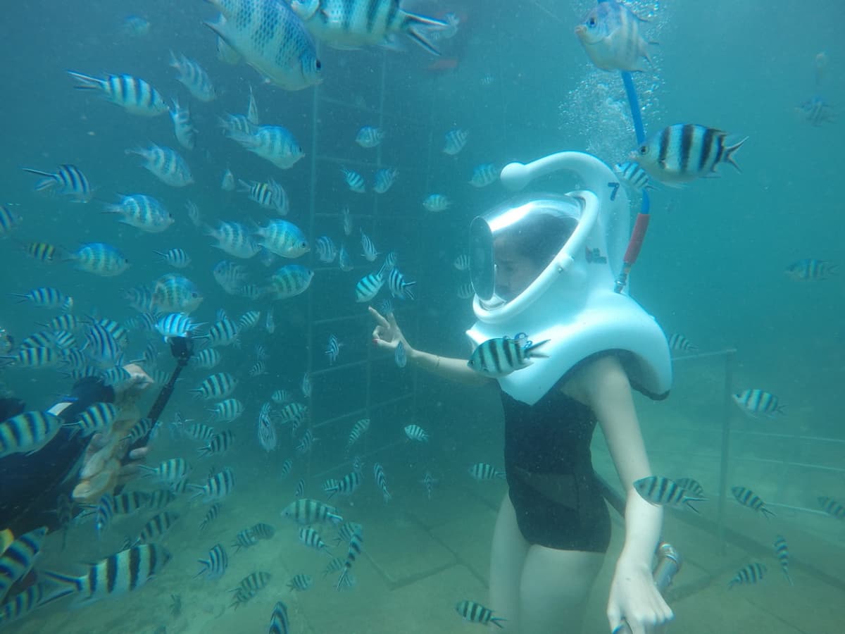 Cham Islands Underwater Walking and Snorkelling Half-Day Tour from Da Nang