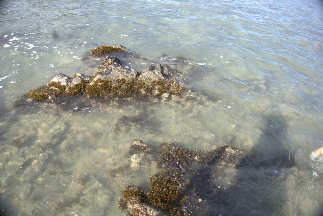 Desaru Beach and Tide Pool Walk – photo 40
