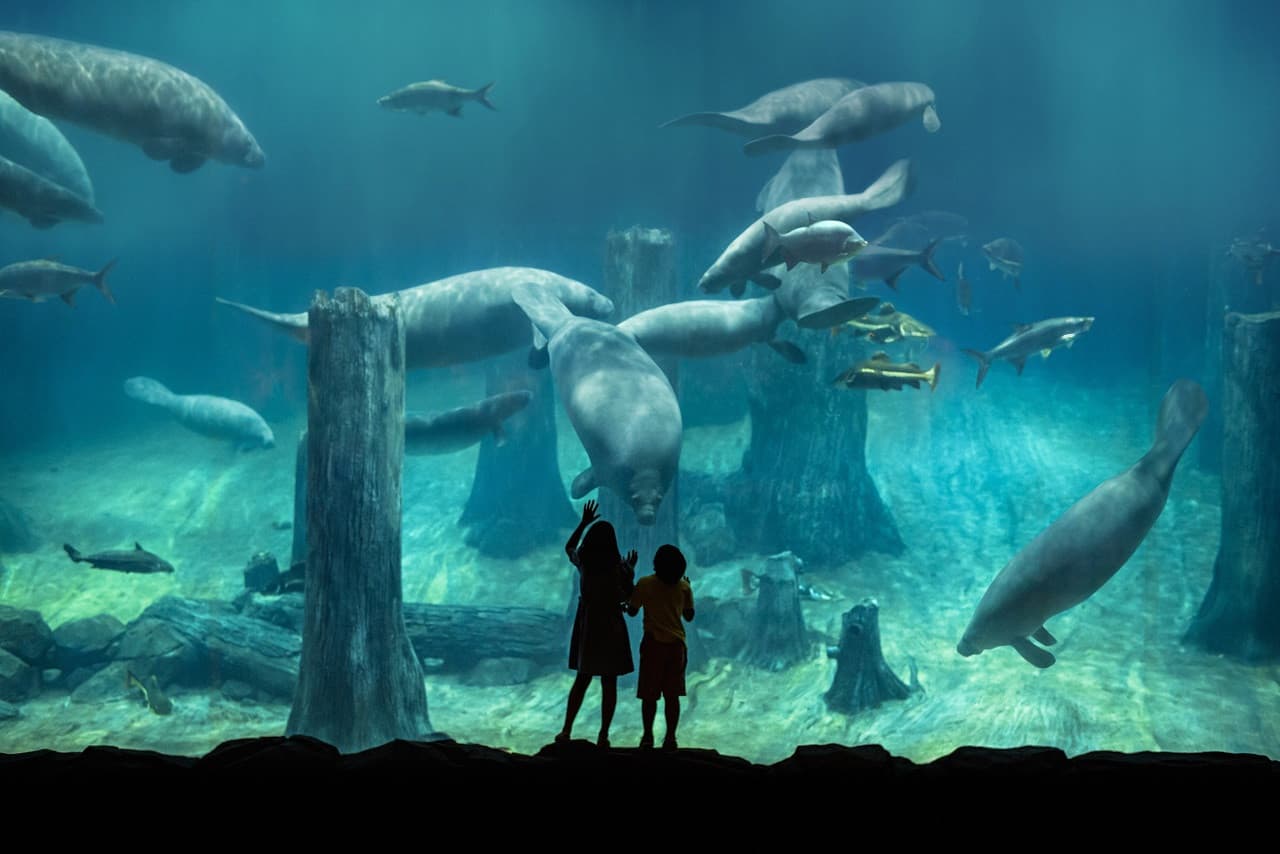 5-in-1 Day Pass: Night Safari + Singapore Zoo + Bird Paradise + River Wonders + Rainforest Asia – photo 16