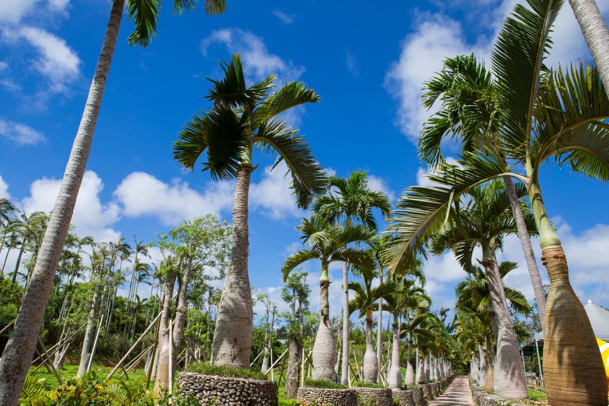 Okinawa Southeast Botanical Gardens