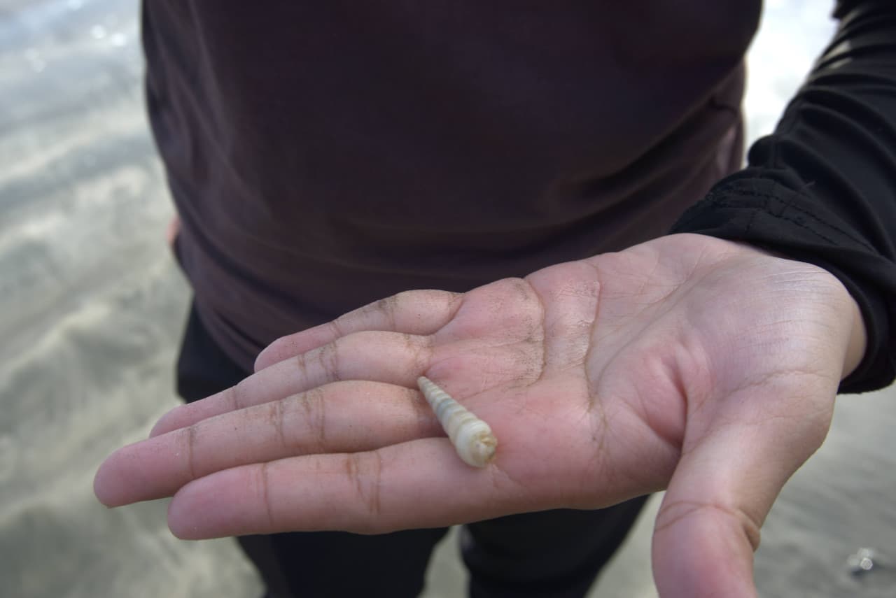 Desaru Beach and Tide Pool Walk – photo 19