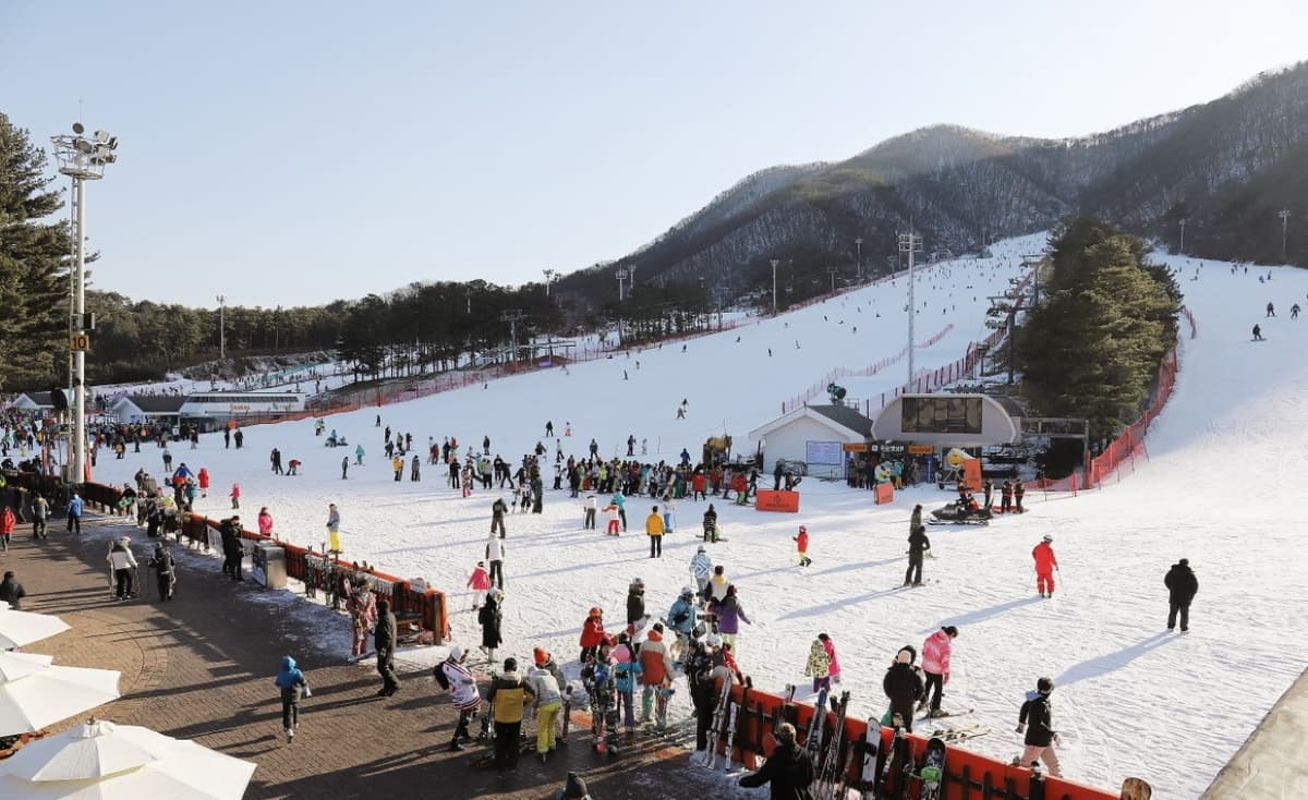 Jisan Forest Ski Resort Full-Day Tour from Seoul