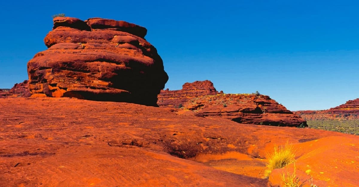 Palm Valley Outback Safari 4WD Tour
