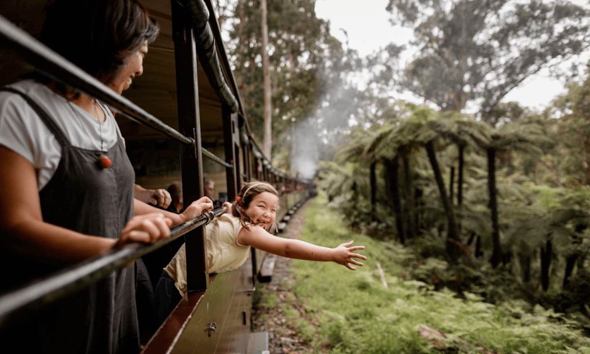 Puffing Billy Steam Train Half-Day Tour