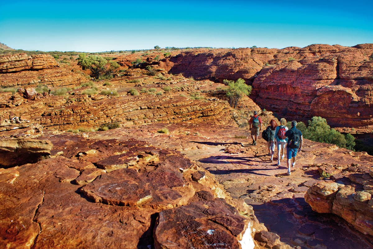 Alice Springs Reptile Centre and City Tour