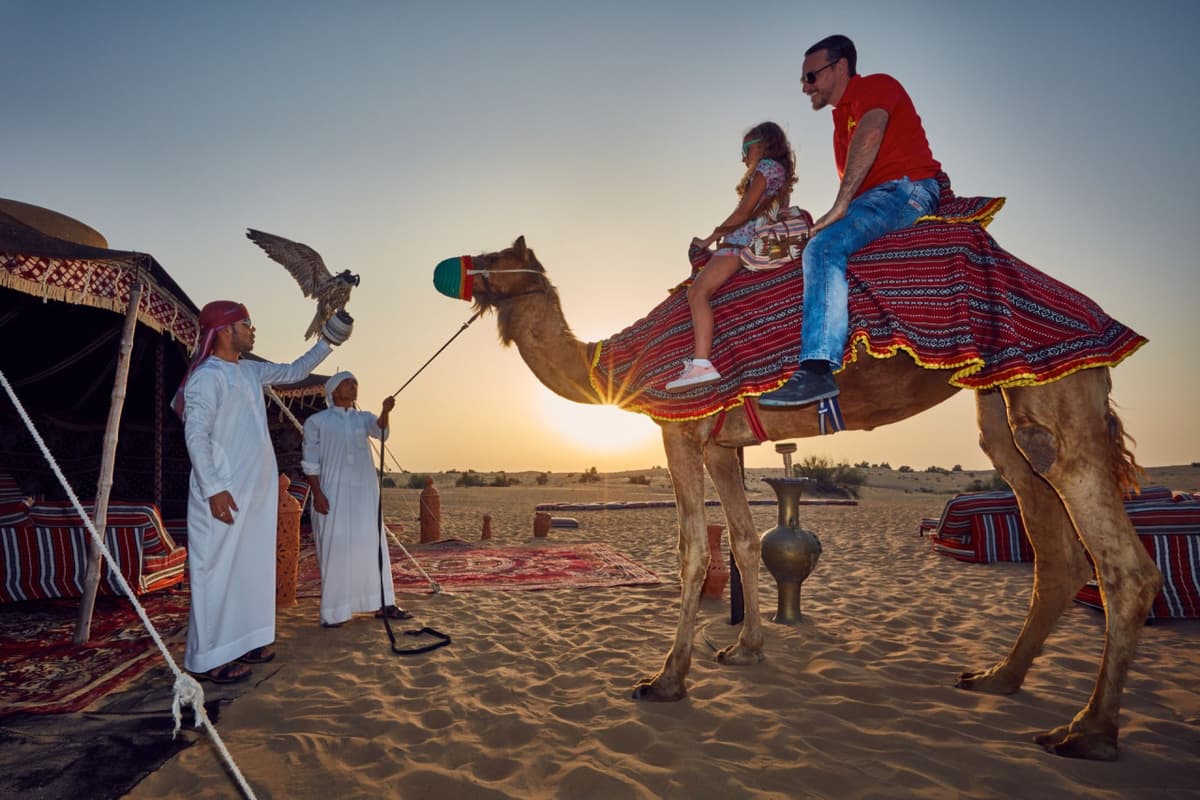Go City Dubai Highlights Pass: Save up to 50% on Attractions