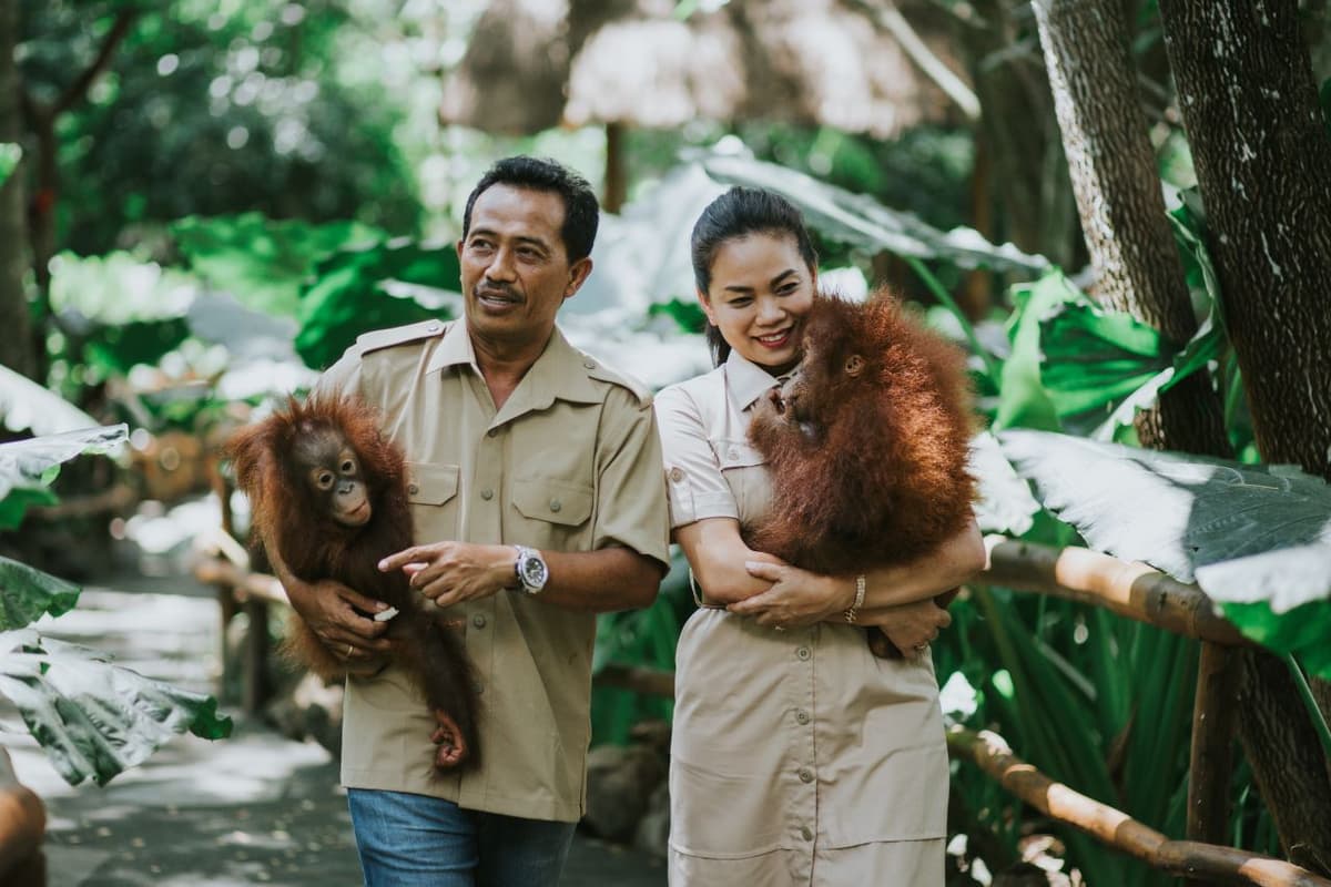 Lombok Wildlife Park Orangutan Interaction