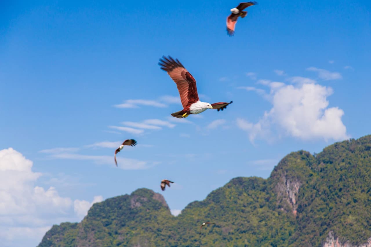 James Bond Island, Phang-Nga Bay, Hong Island, and Khai Island Tour from Phuket – photo 6