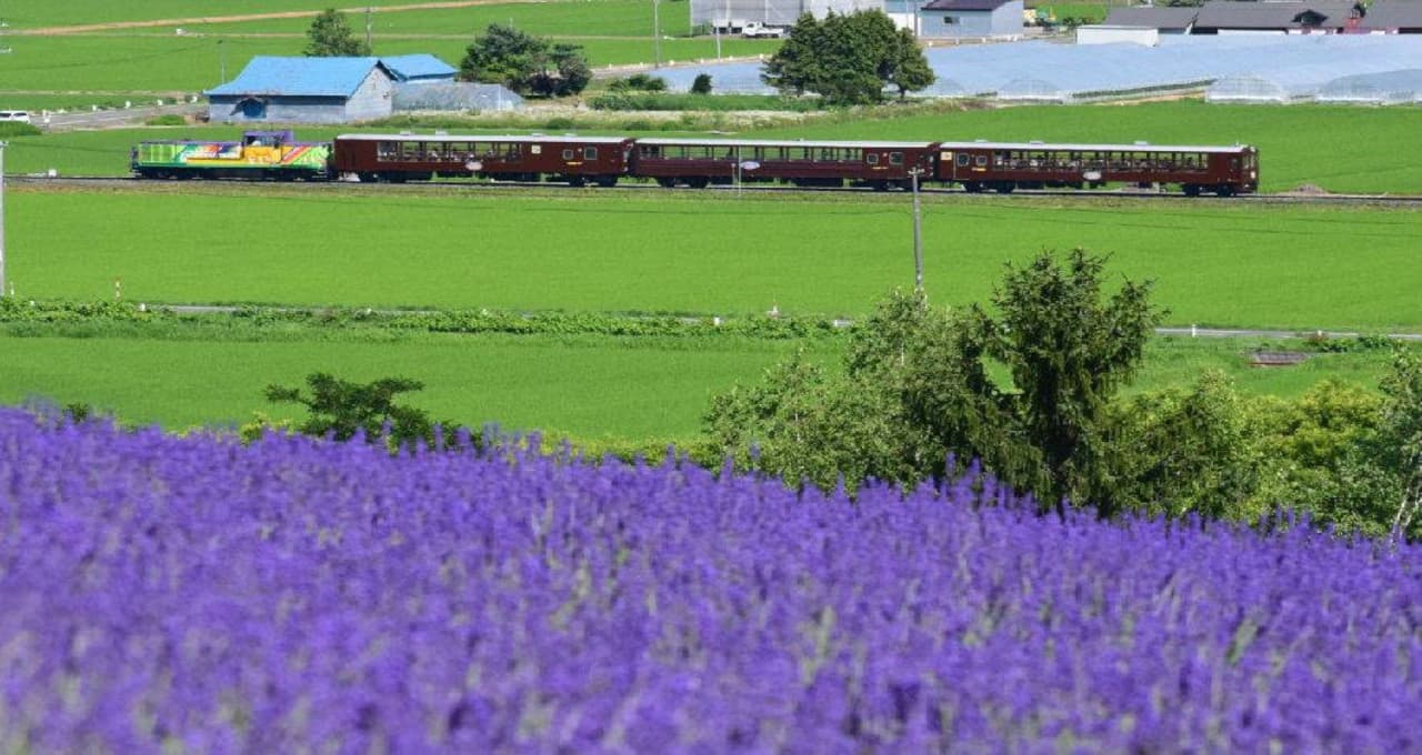 Hokkaido Sapporo-Furano Area Pass – photo 3