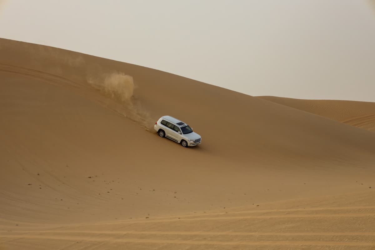 Desert Safari Tour from Abu Dhabi