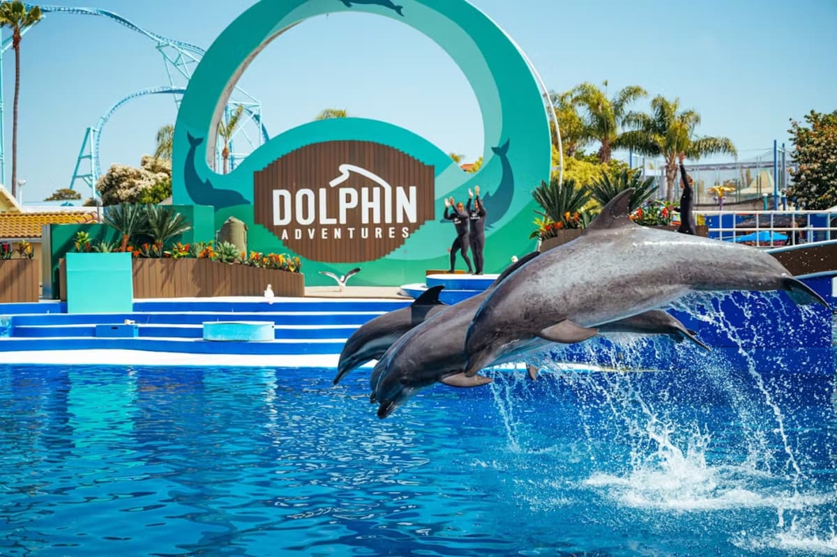 SeaWorld San Diego Ticket: Direct Entry