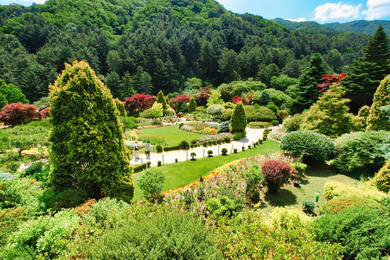 Nami Island, Mount Seorak, and Garden of Morning Calm Full-Day Tour from Seoul – photo 27