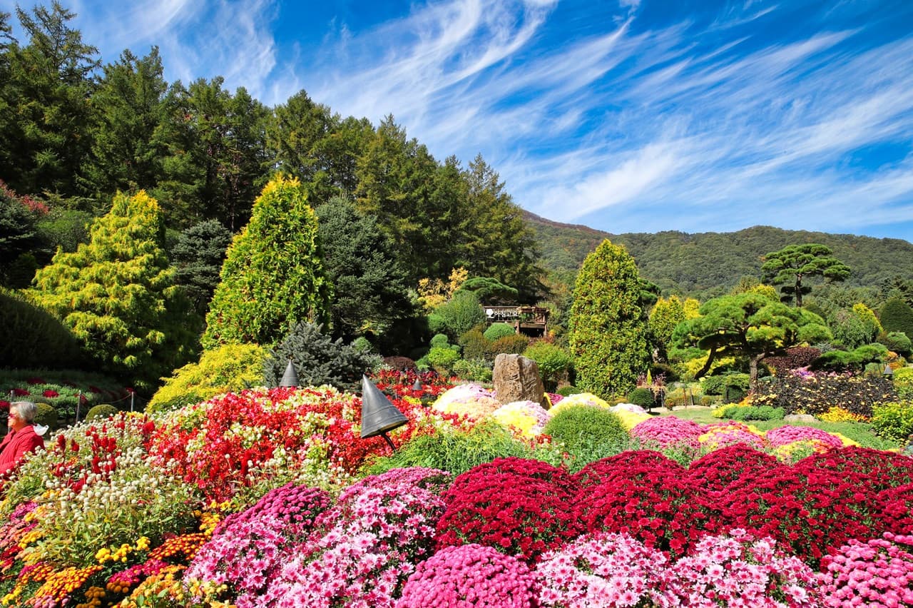 Nami Island, Mount Seorak, and Garden of Morning Calm Full-Day Tour from Seoul – photo 28