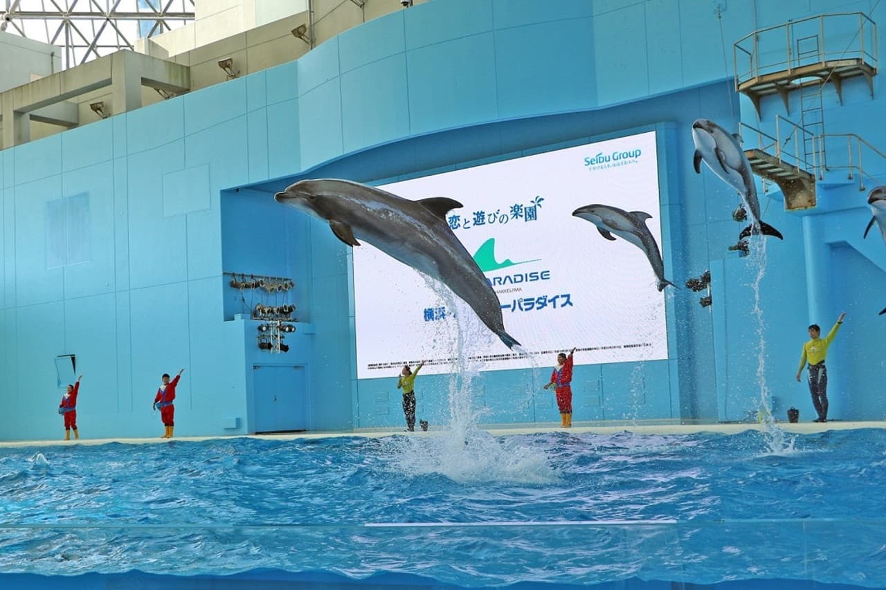 Yokohama Hakkeijima Sea Paradise Ticket – photo 3