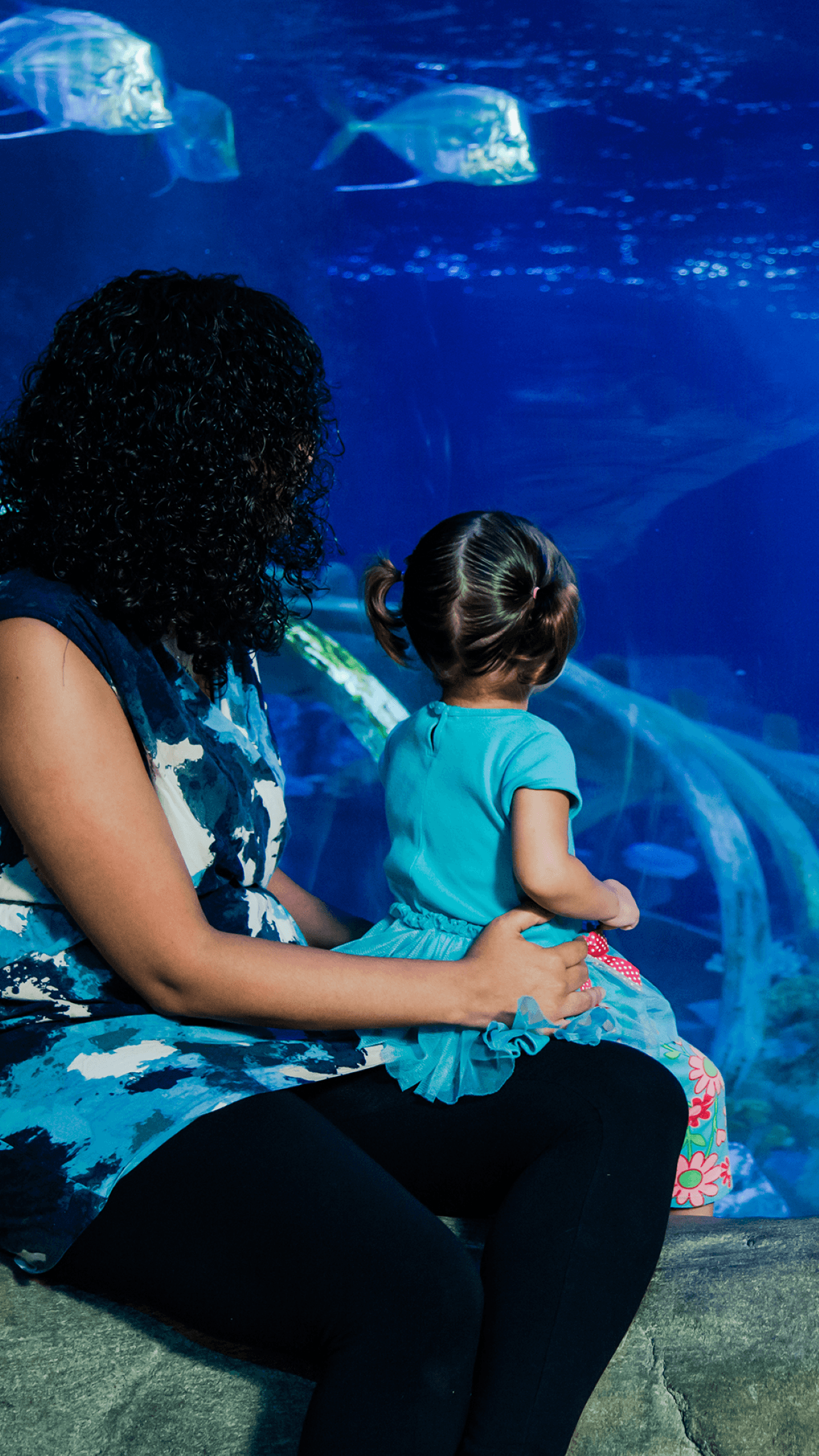 SEA LIFE Paris Aquarium Ticket – photo 4