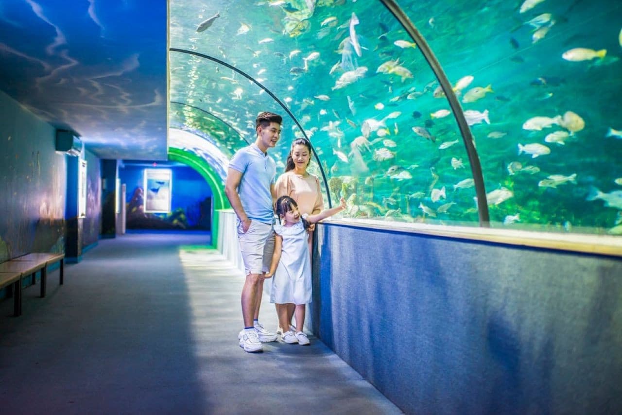 Vinpearl Aquarium Times City Hanoi Ticket