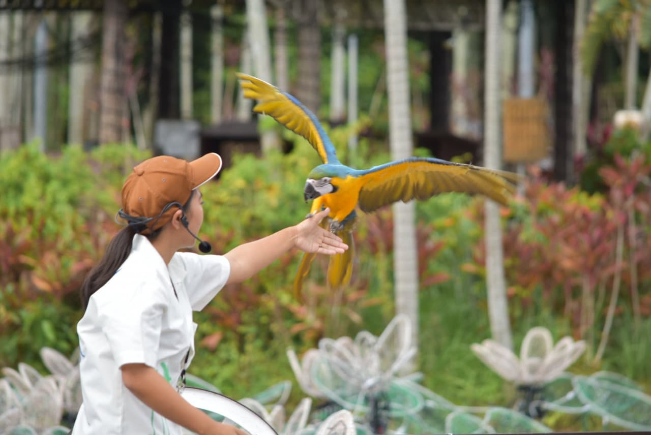 Okinawa Southeast Botanical Gardens – photo 35
