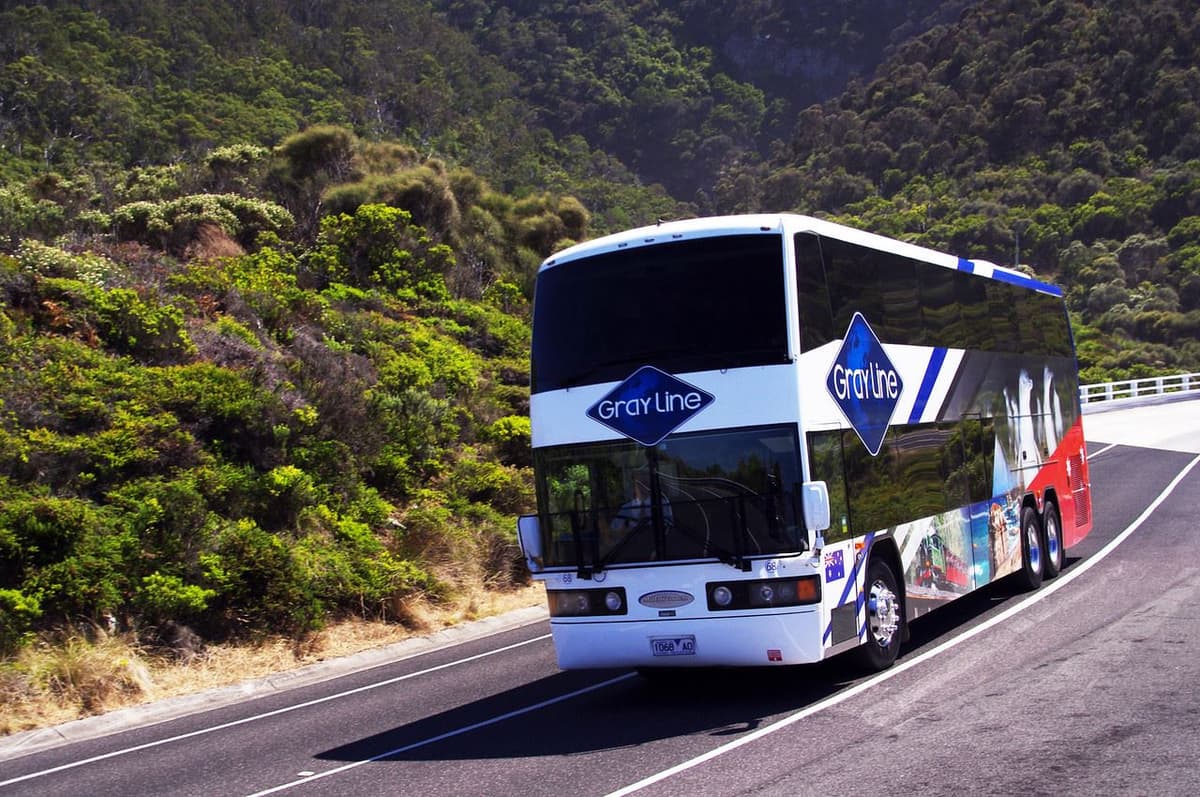 Brisbane Coach and Cruise Tour from the Gold Coast
