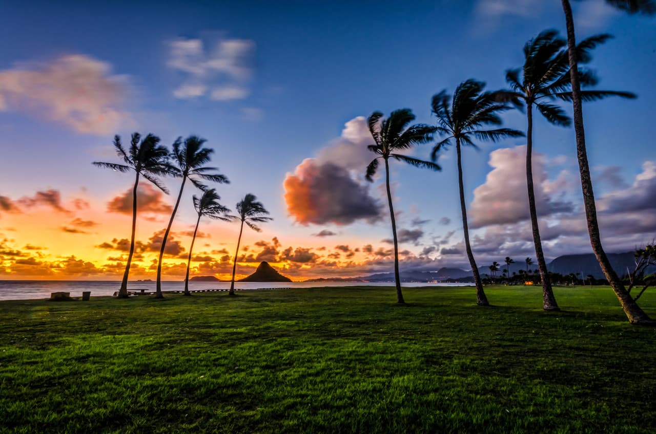 Go City Oahu Explorer Pass: Save up to 50% on Attractions – photo 19