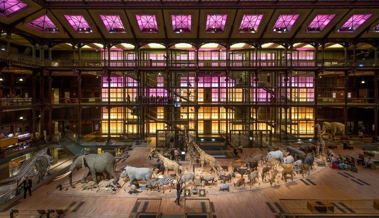 Grande Galerie de l'Évolution: Skip The Line