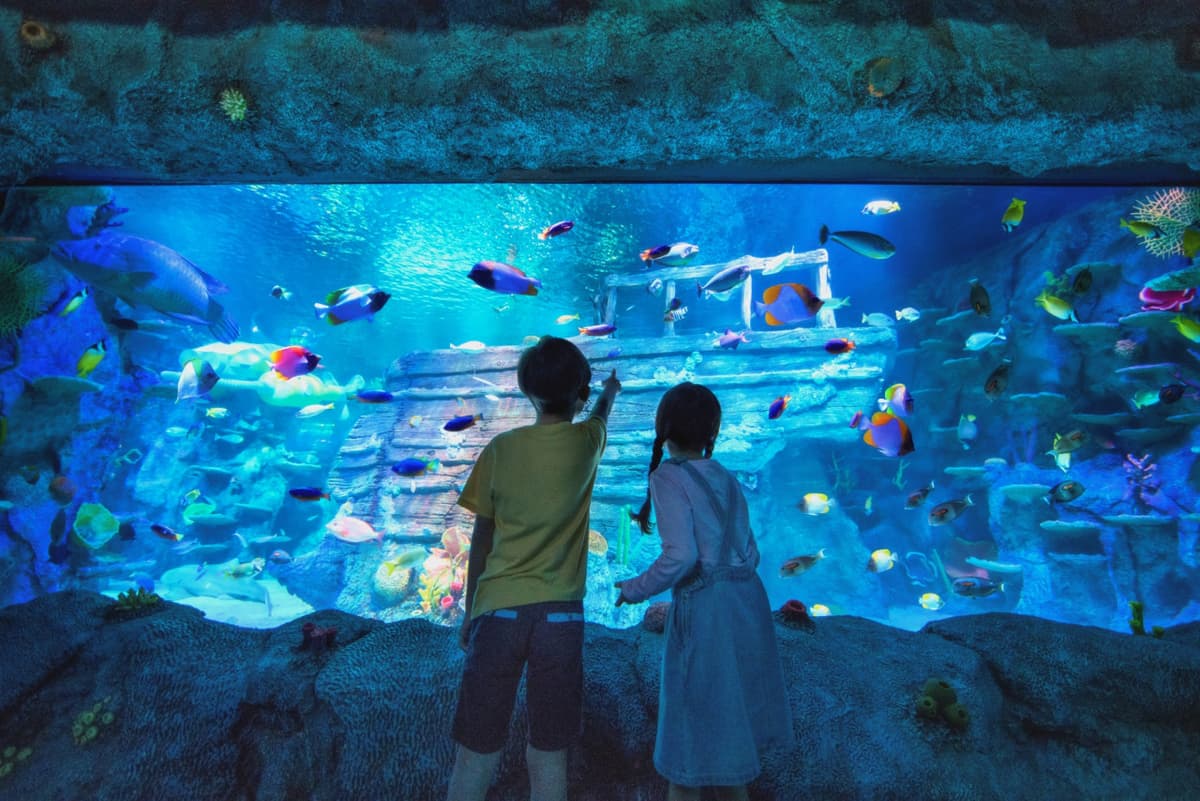 Go City Singapore Explorer Pass: Save up to 50% on Attractions
