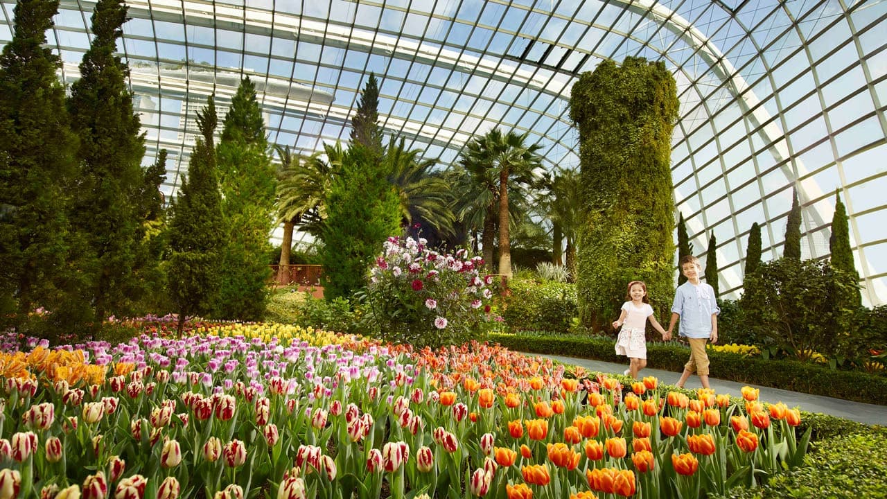 COMBO: Skyline Luge Singapore + Gardens by the Bay Ticket – photo 11