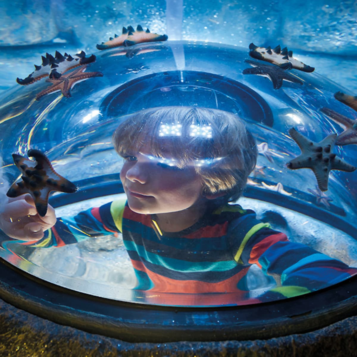 SEA LIFE New Jersey Aquarium Ticket