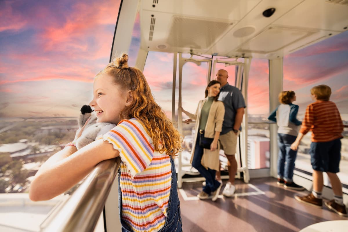 The Orlando Eye Ticket