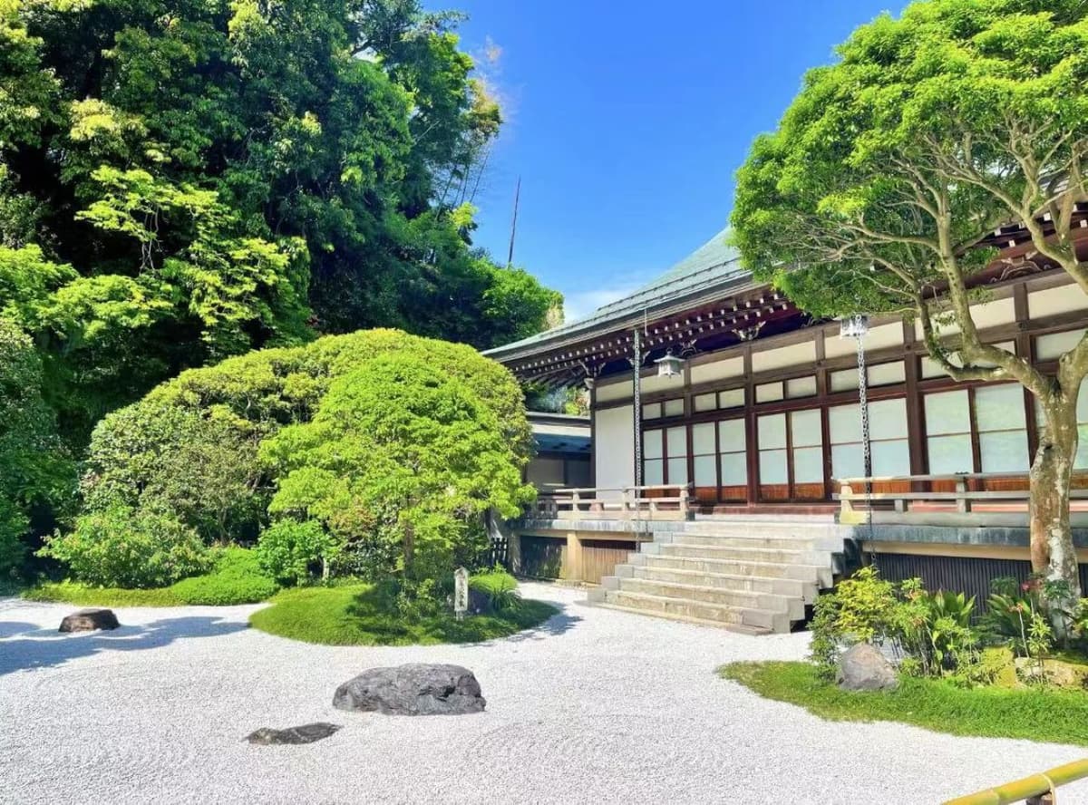 Kotoku-in Temple and Enoshima Day Tour from Tokyo