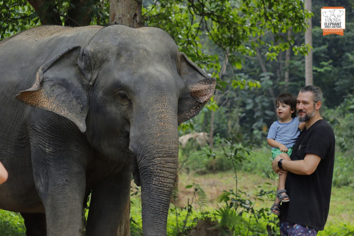 Elephant Jungle Sanctuary Koh Samui
