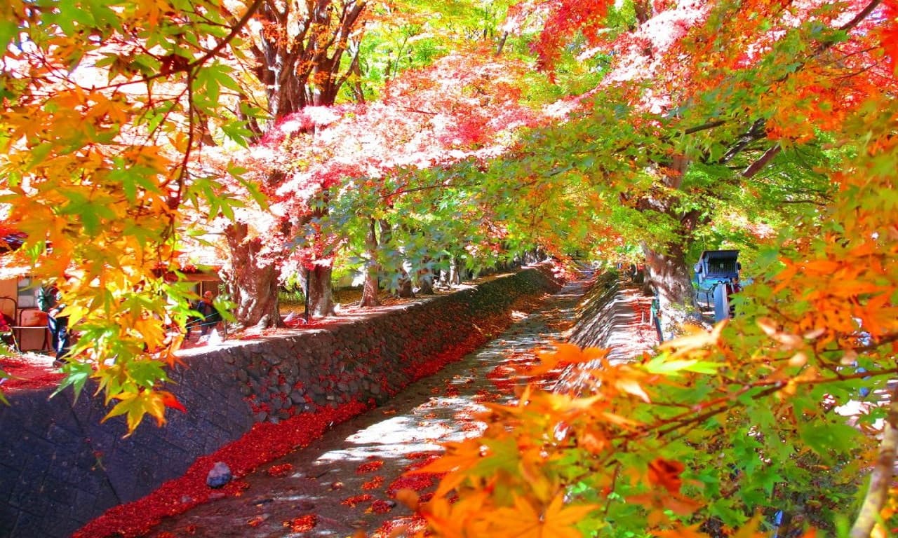 Mount Fuji and Arakurayama Sengen Park 1 Day Bus Tour – photo 11