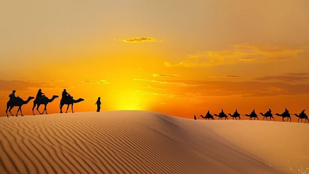 Liwa Desert Safari Tour