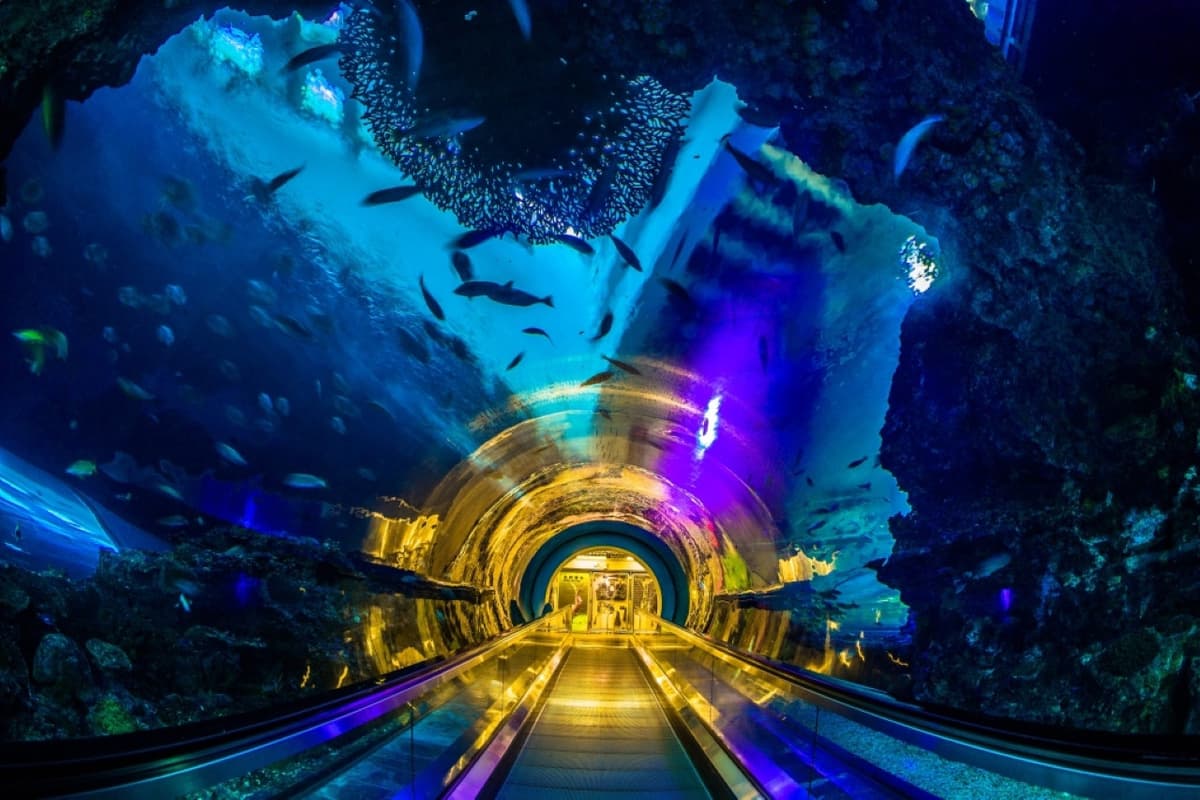 Pingtung National Museum of Marine Biology and Aquarium Ticket