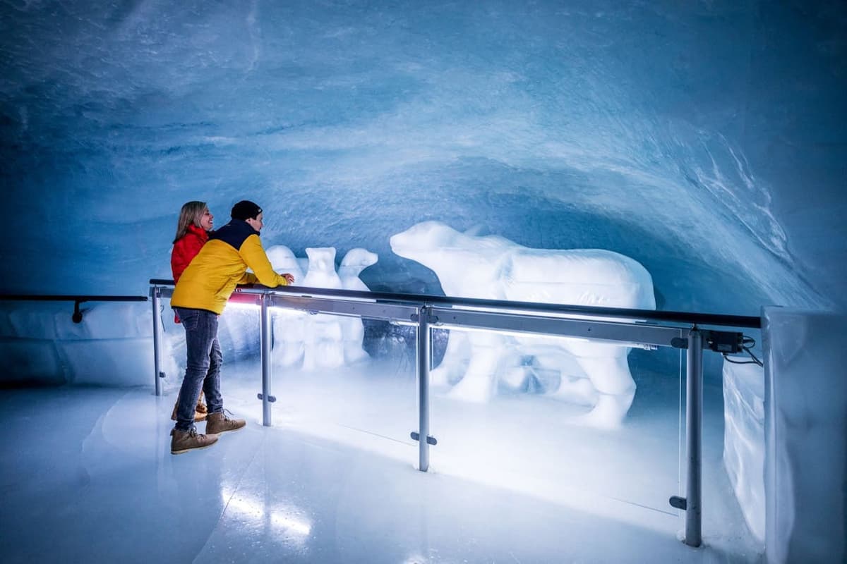 Jungfraujoch: Roundtrip Train from Grindelwald