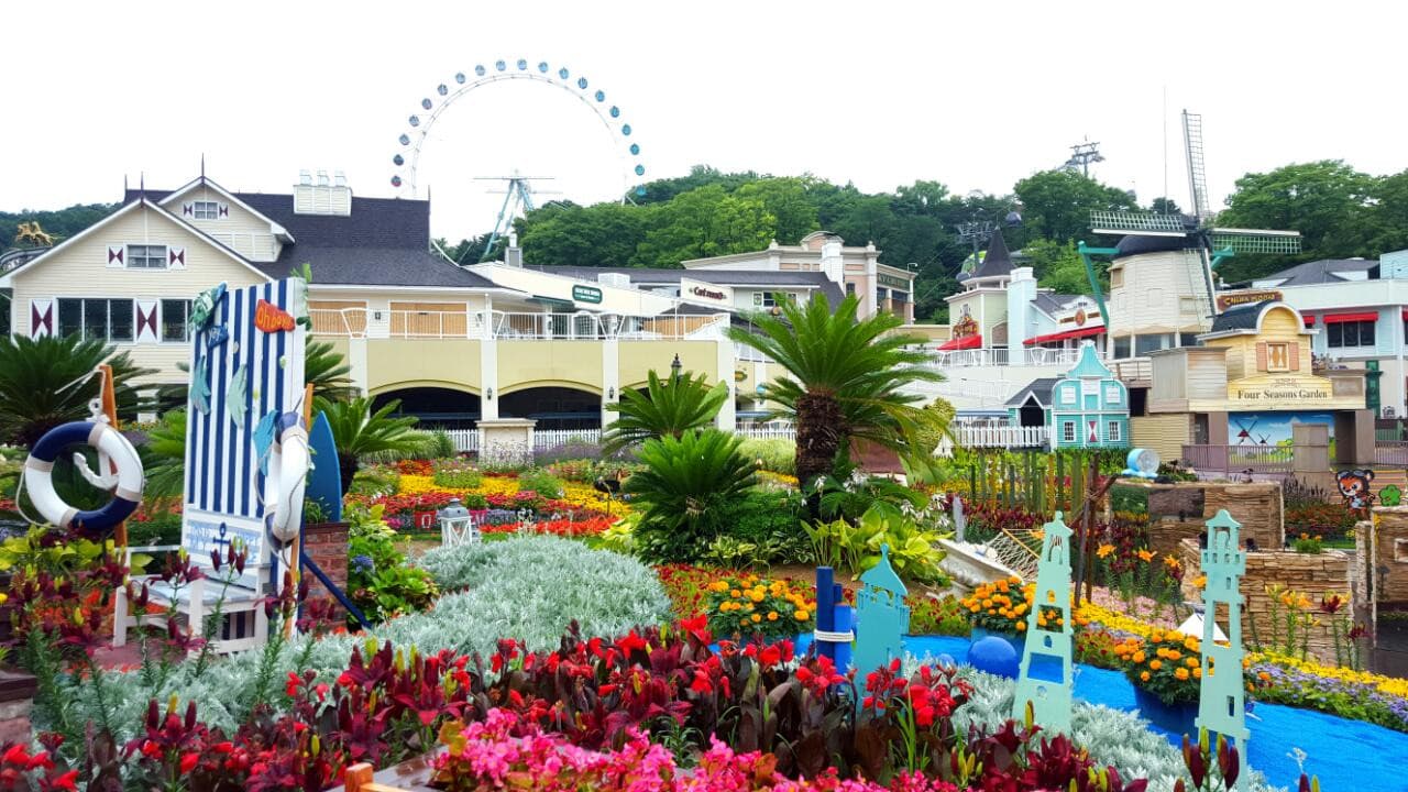 Everland Theme Park Ticket – photo 14