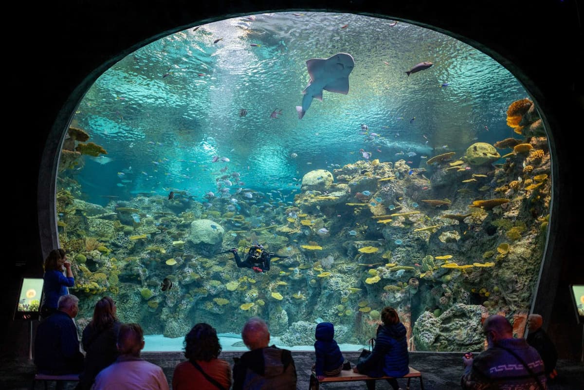 Seattle Aquarium Ticket